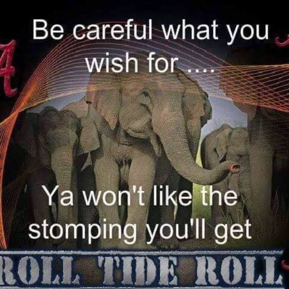 Meet your Posher, Kristy - Picture 1 of 1